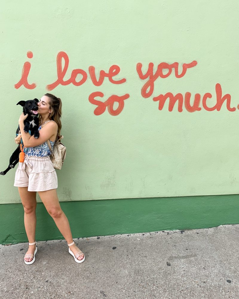 Austin, Texas: 48-Hour, Dog-Friendly Itinerary - ItsRiss Travel