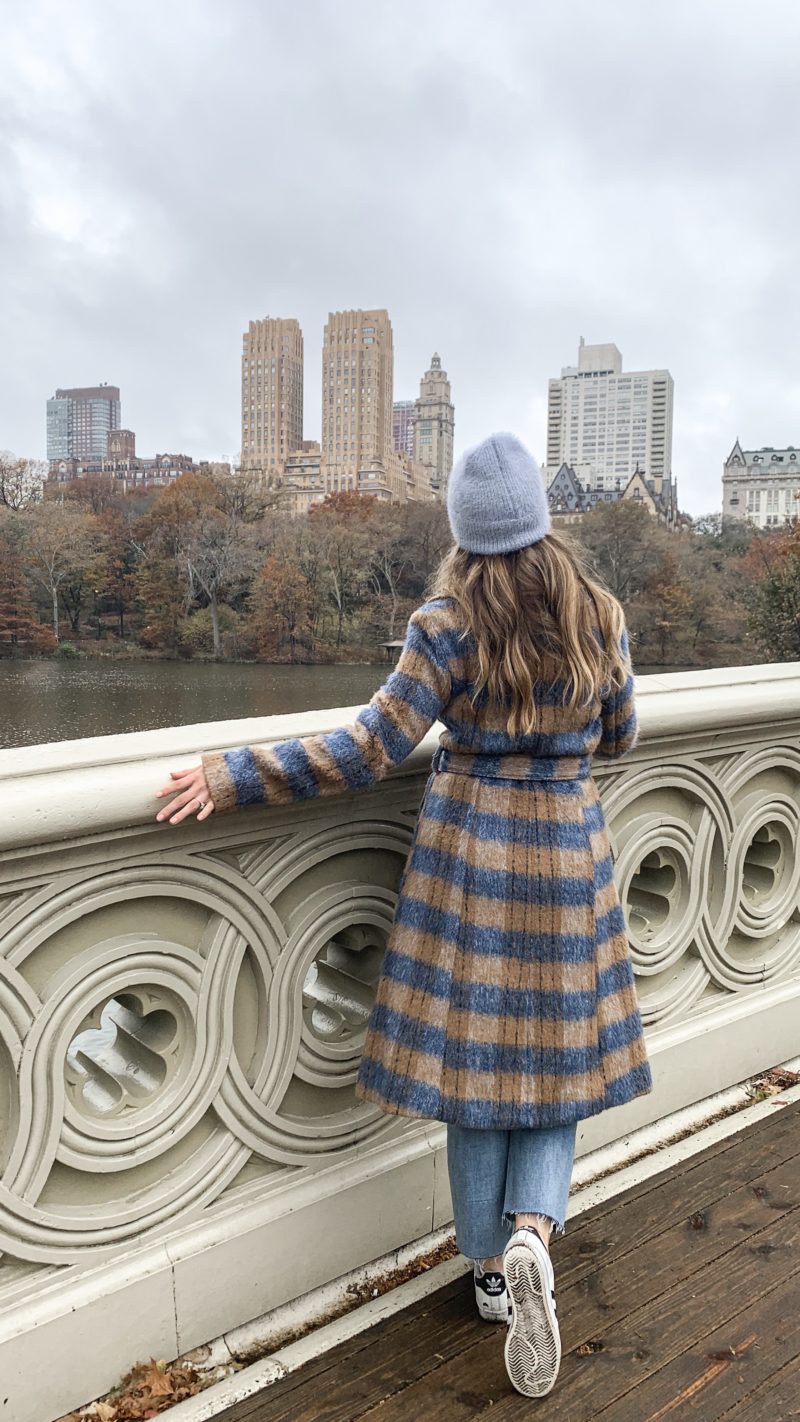 Central Park | 7 Travel Tips for Your First Time in New York City - ItsRiss Travel Blog